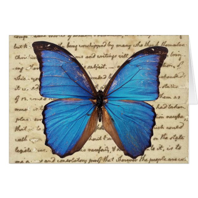 Papillon de Morpho sur la carte vierge d'écriture (Devant horizontal)