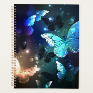 Papillon de nuit