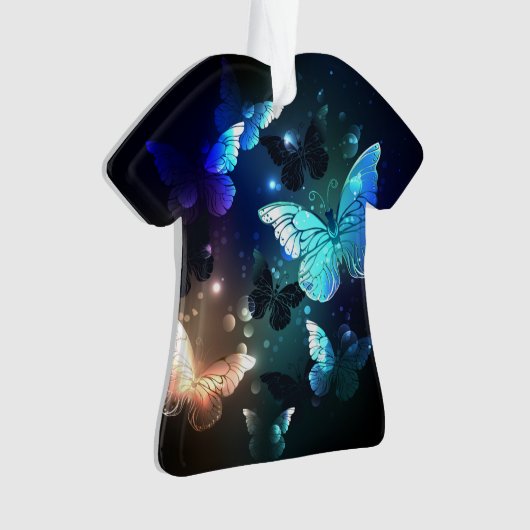 Papillon de nuit (devant)