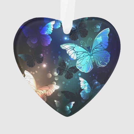 Papillon de nuit (dos)