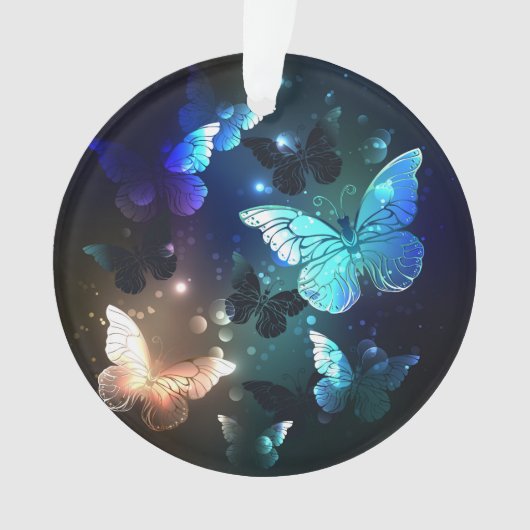 Papillon de nuit voltigeant (devant)