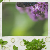 Papillon de photo de serviette de cuisine (Plié)