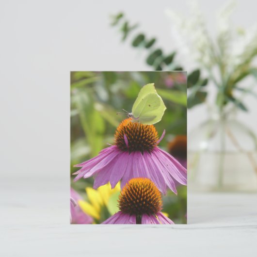 Papillon de pierre commune sur carte postale do-it (Debout devant)