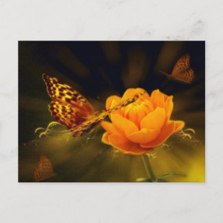 Papillon de printemps sur carte postale Rose