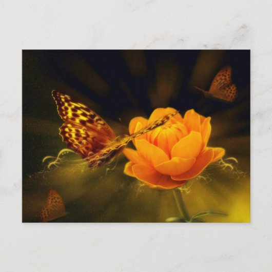 Papillon de printemps sur carte postale Rose (Devant)