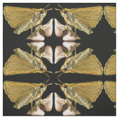 Papillon de skipper sur tissu Abstrait de fleur (Échantillon)