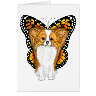 Papillon déguisé