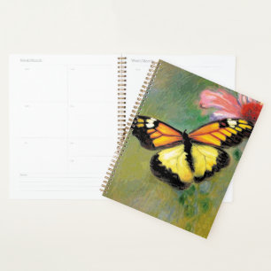 Papillon d'été du printemps -