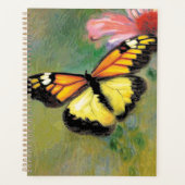 Papillon d'été du printemps - (Devant)