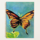 Papillon d'été du printemps - (Devant)
