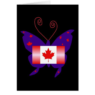 Papillon Diva canadien