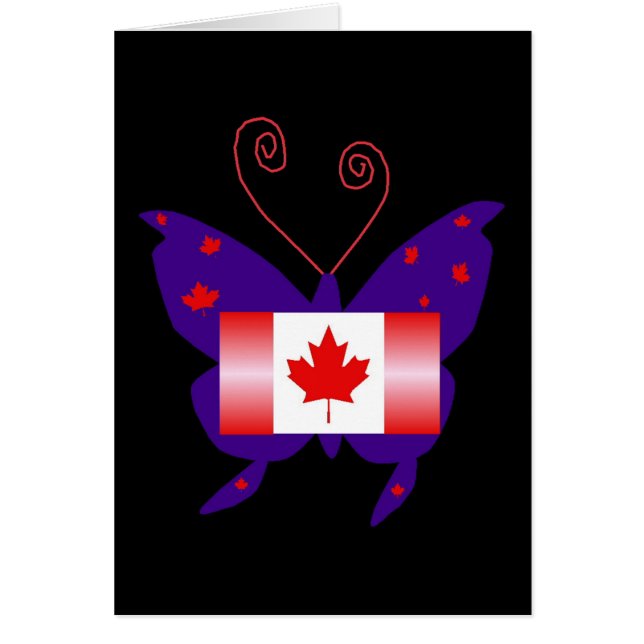 Papillon Diva canadien (Devant)
