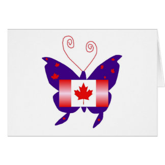 Papillon Diva canadien
