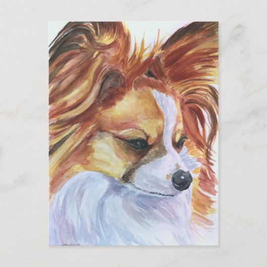 Papillon Dog Briefkaarten (Voorkant)