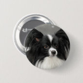 Papillon Dog Button (Voorkant /achterkant)