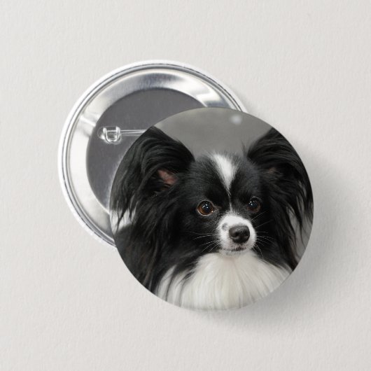 Papillon Dog Button (Voorkant /achterkant)