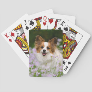 Papillon Dog Cute Romantic Portrait Foto - Speelkaarten
