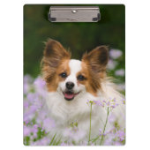 Papillon Dog Cute Romantic Portret - Gepersonalise Klembord (Voorkant)