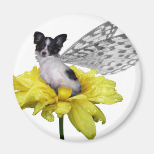 Papillon Dog Fairy Magnet Magneet