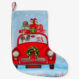 Papillon Dog in auto met kerstman Kleine Kerstsok
