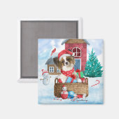 Papillon Dog in het sneeuwkersthondenhuis Magneet (Voorkant / Achterkant)
