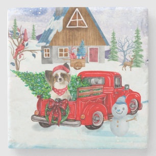 Papillon Dog in kerstcadeau, vrachtwagen sneeuw Stenen Onderzetter