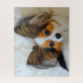 Papillon Dog. Legpuzzel (Verticaal)