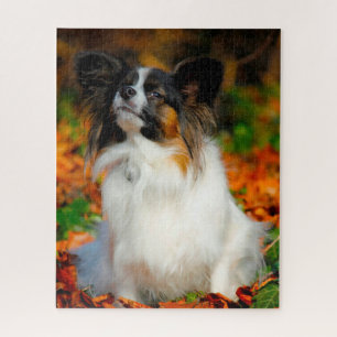 Papillon Dog. Legpuzzel