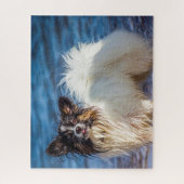 Papillon Dog. Legpuzzel (Verticaal)