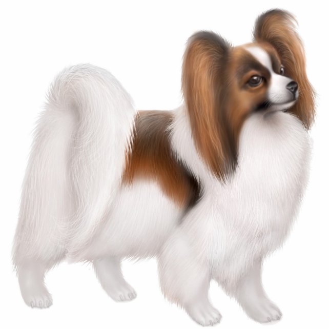 Papillon Dog Ornament Fotobeeldje Ornament (Voorkant)