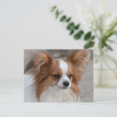 Papillon Dog Portrait Briefkaart (Staand voorkant)