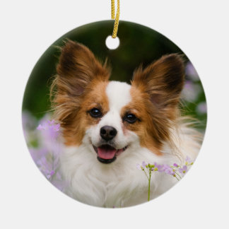 Papillon Dog Romantic Cute Portrait Keramisch Ornament