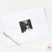 Papillon Dog Stickers (Envelop)