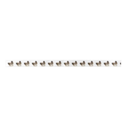 Papillon Dogs Lint (Voorkant)