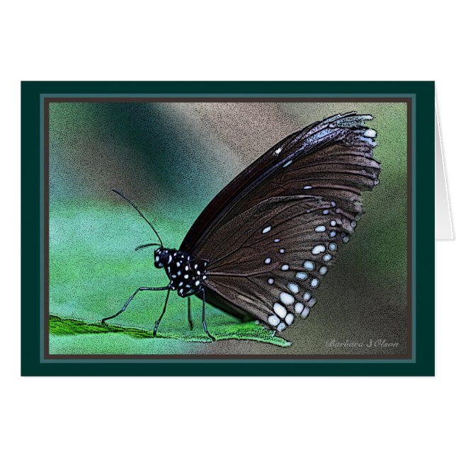 Papillon en Aqua (Devant horizontal)