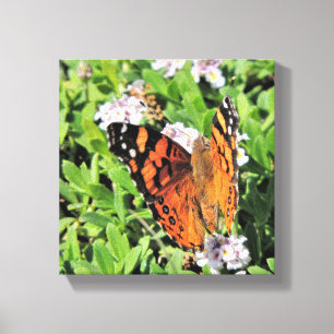 Papillon en toile florale