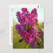 Papillon et abeille sur la carte postale Lilac (Devant / Derrière)