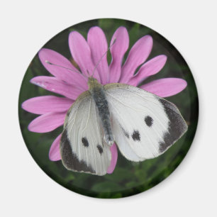 Papillon et aimant à fleurs roses