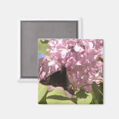 Papillon et aimant Lilacs (Recto/Verso)