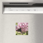 Papillon et aimant Lilacs (In Situ (Lave-vaisselle))