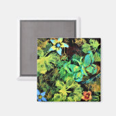 Papillon et Aimant Rodilius Fleur (Recto/Verso)