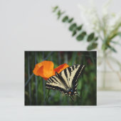 Papillon et carte postale orange de pavot de (Debout devant)