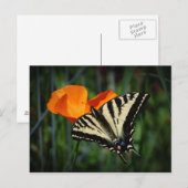Papillon et carte postale orange de pavot de (Devant / Derrière)