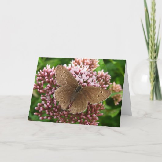 Papillon et Fleur Pensée de vous Carte de voeux (Devant)