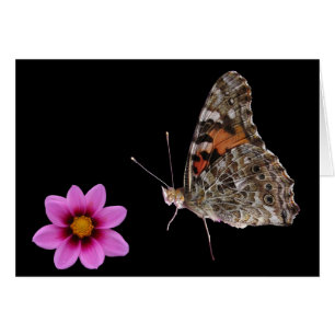Papillon et Fleur rose