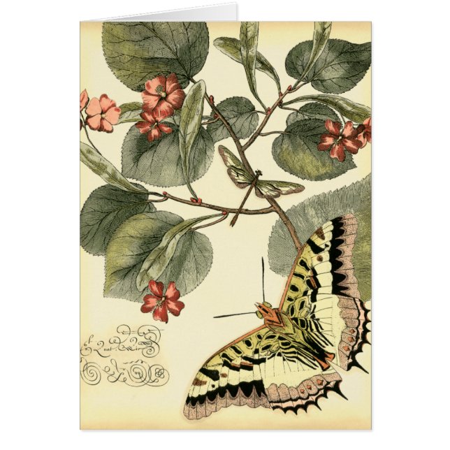 Papillon et libellule à fleurs rouges (Devant)