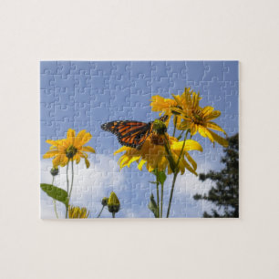 Papillon et puzzle tournesol