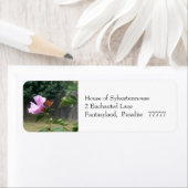 Papillon et Rose de Sharon Étiquettes de adresse (En situation)