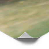 Papillon et Rose de Sharon Poster / Imprimer (Coin)