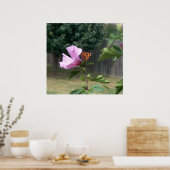 Papillon et Rose de Sharon Poster / Imprimer (Cuisine)